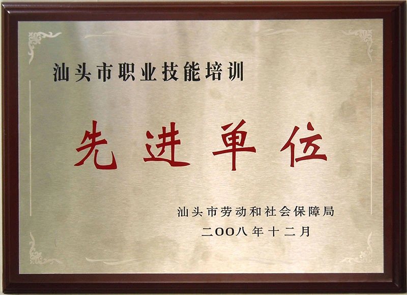 2008年先进单位证照或牌匾原图